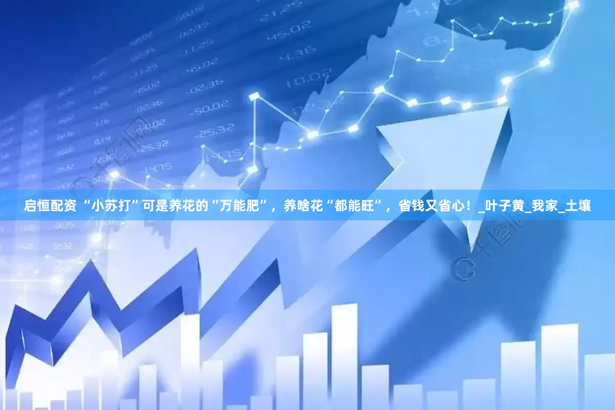 启恒配资 “小苏打”可是养花的“万能肥”，养啥花“都能旺”，省钱又省心！_叶子黄_我家_土壤
